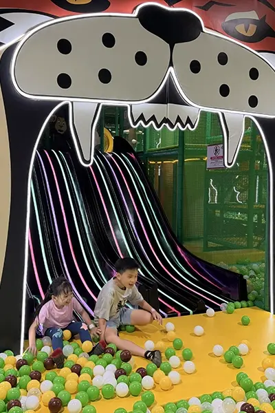 SKS JungleGym